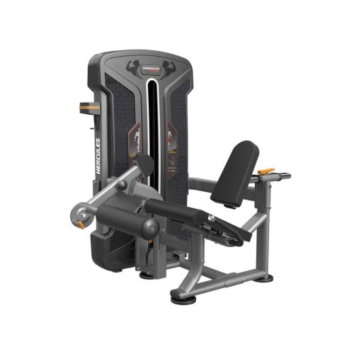 Aura Leg Extension