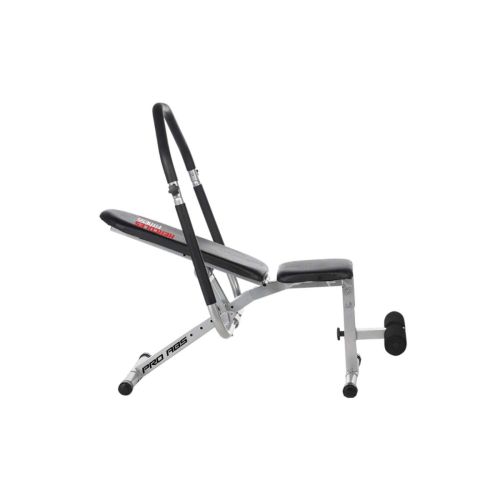 Pro Abs Bench