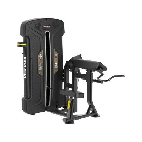 Aura Biceps Curl